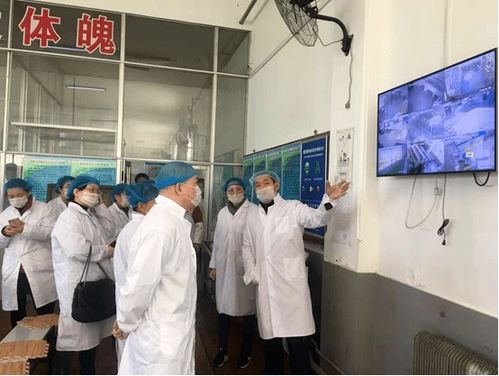 甘井子区人大调研食品药品监管领域公益诉讼工作与医学研究发展的融合探索