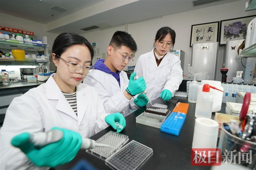 湖医药学霸情侣 同窗共读，携手考研圆梦南京大学