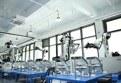 高质量发展调研行 江苏常州新能源“铁骑”热销海外，撬动医学研发新动能