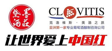 让世界爱上中国红丨成功红集团 科技中介服务的领航者